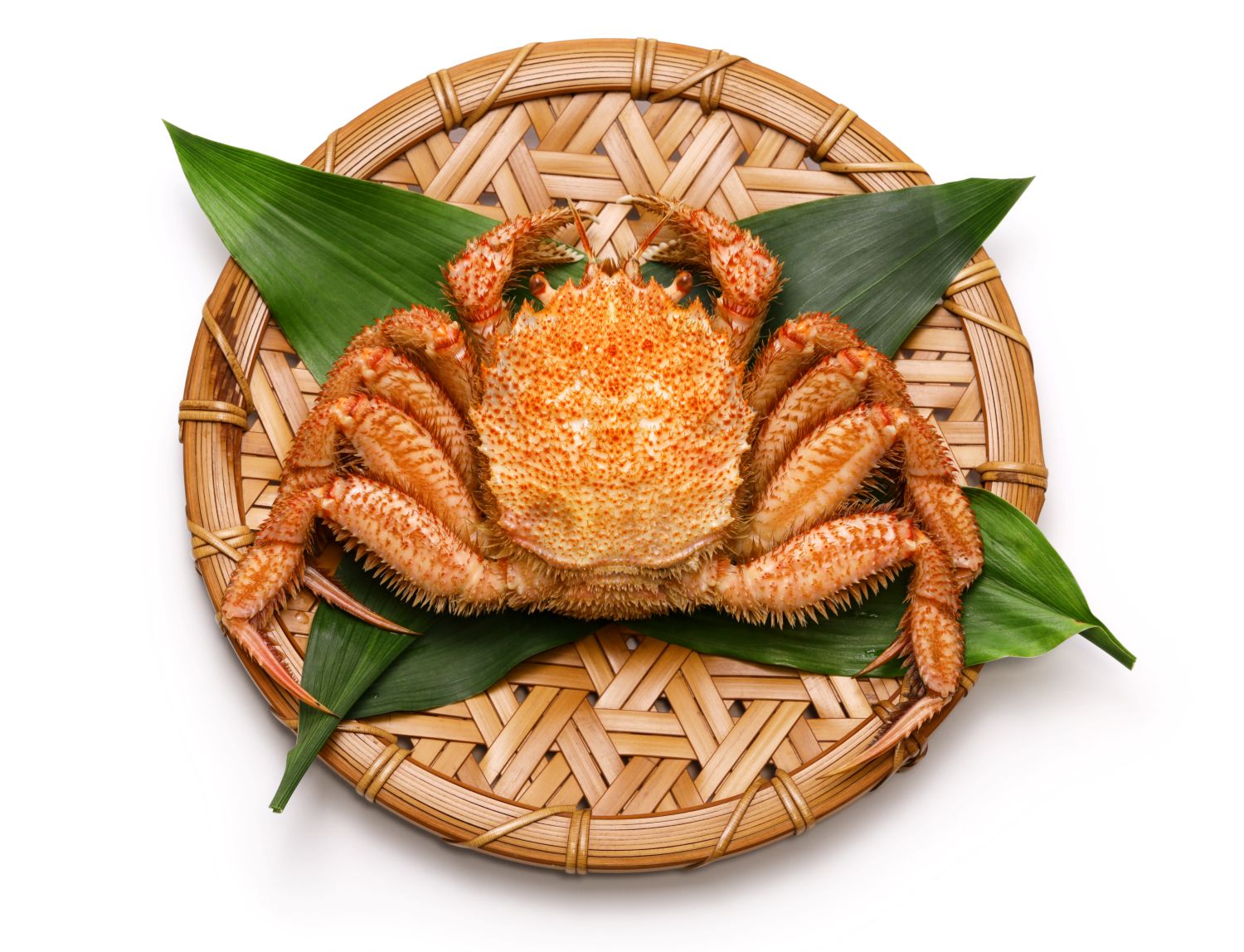 ปูขน